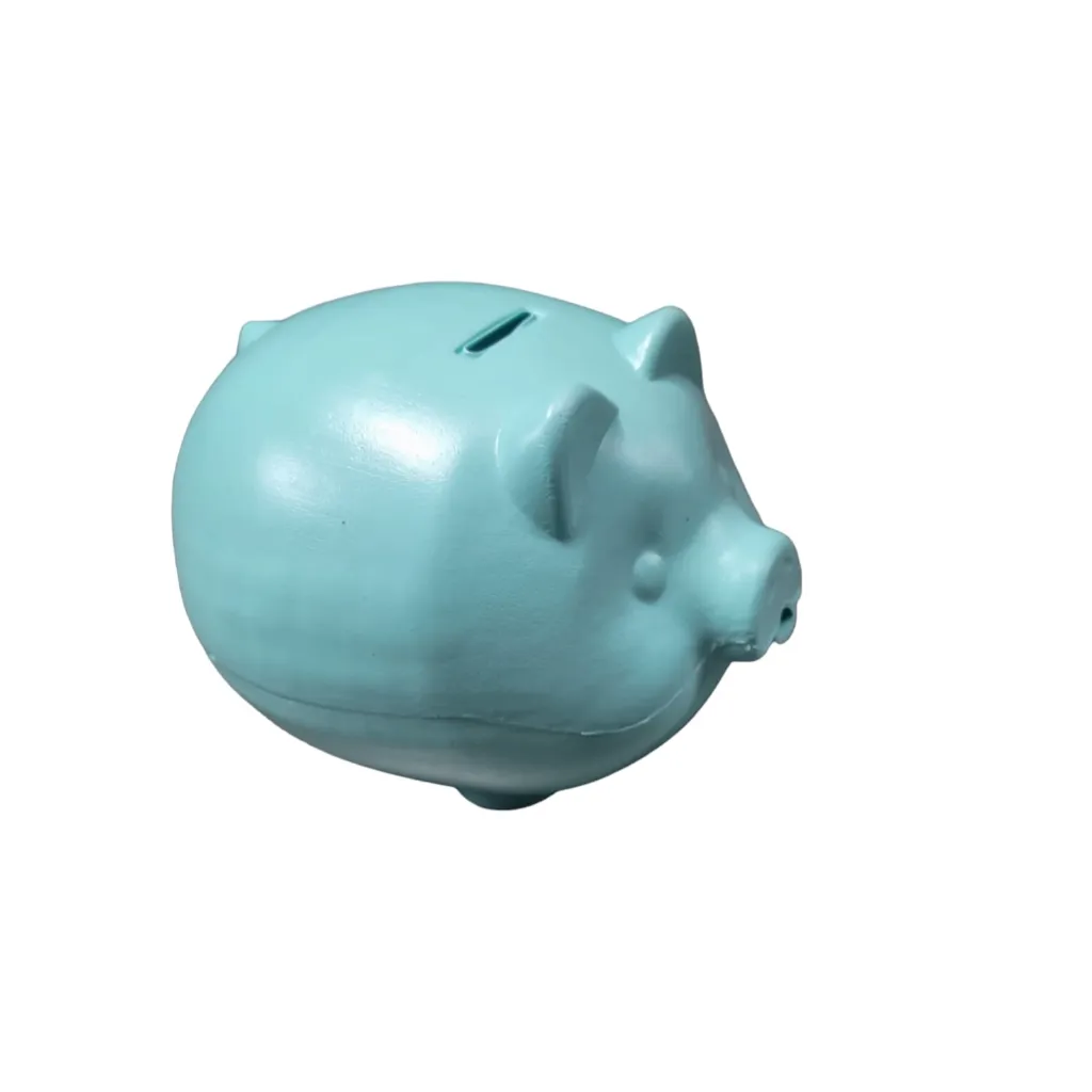 Jumbo Piggy Bank