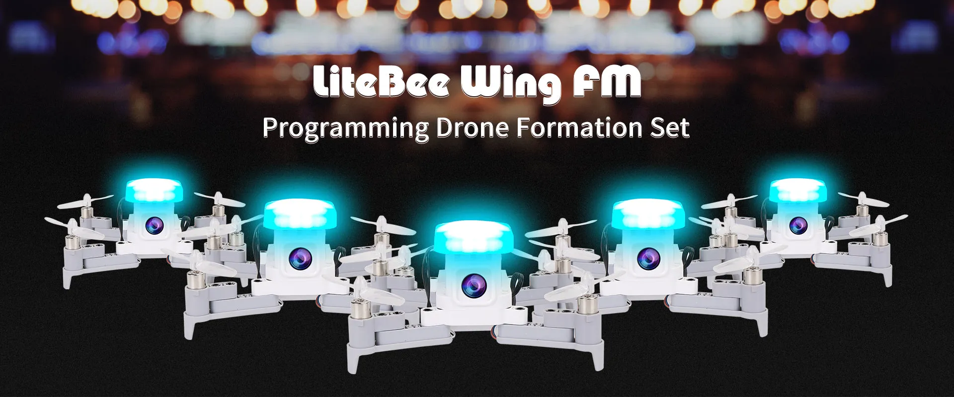 LiteBee Wing FM-10 V2