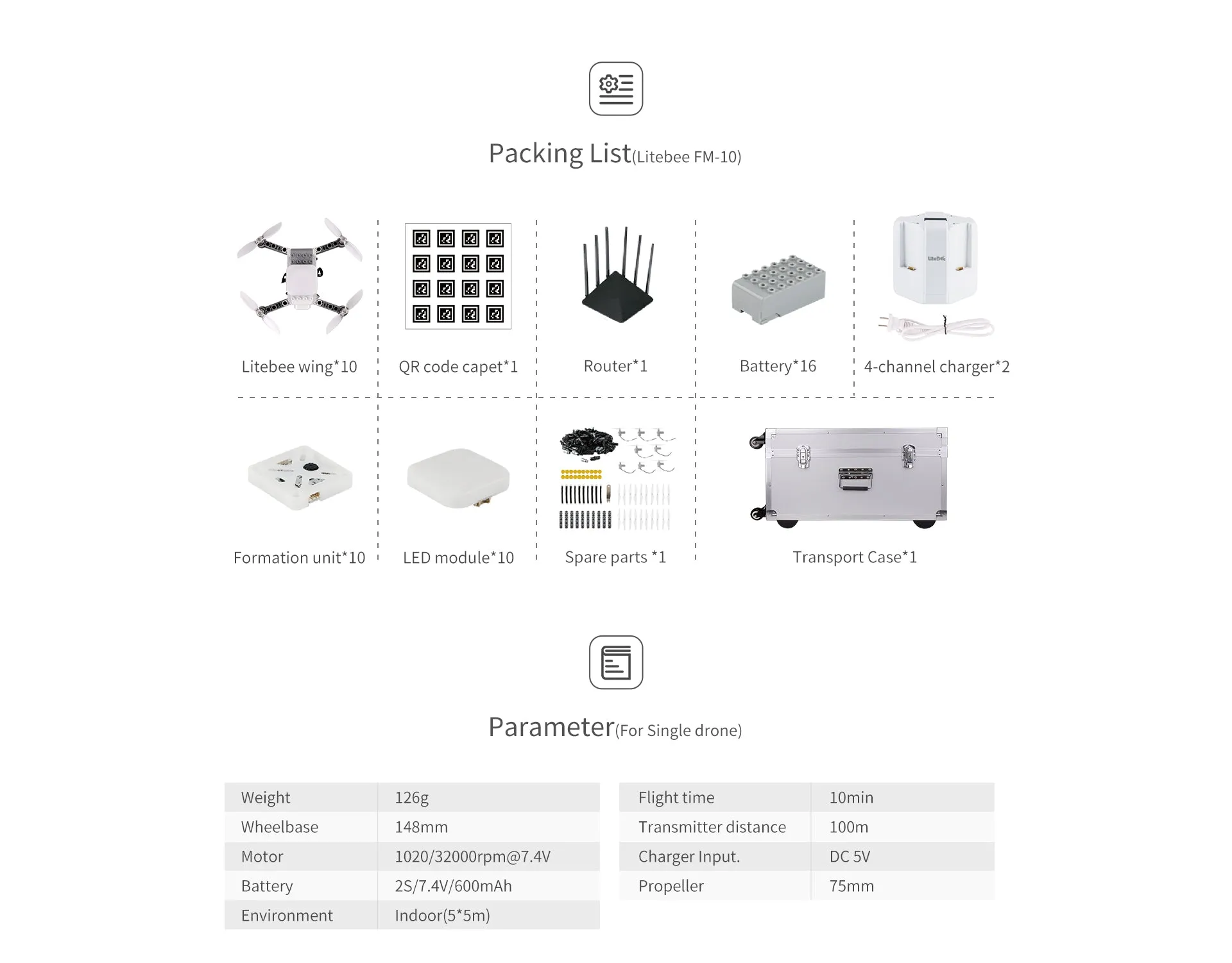 LiteBee Wing FM-10 V2