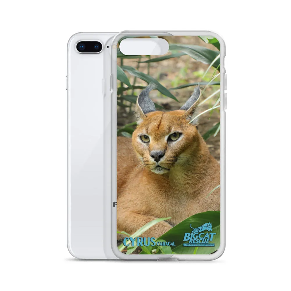 Phone Case - Cyrus Caracal iPhone