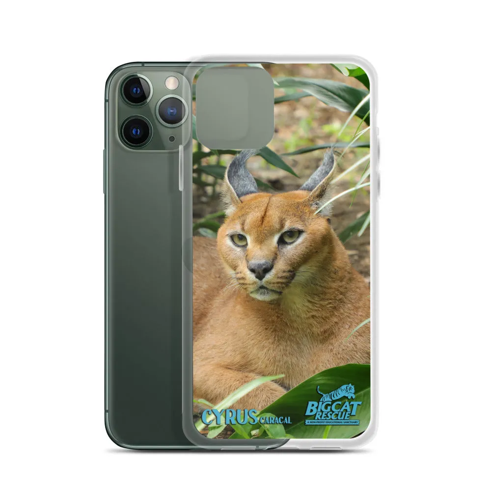 Phone Case - Cyrus Caracal iPhone