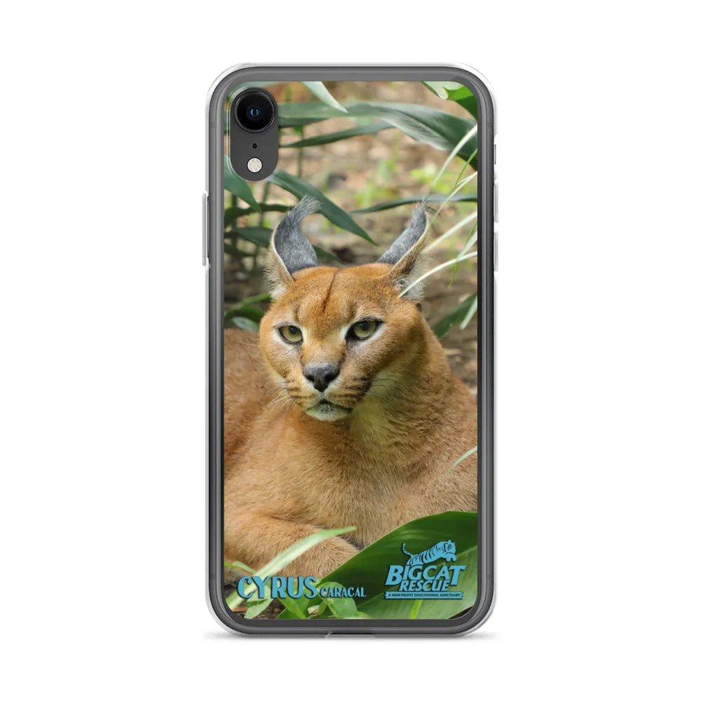 Phone Case - Cyrus Caracal iPhone