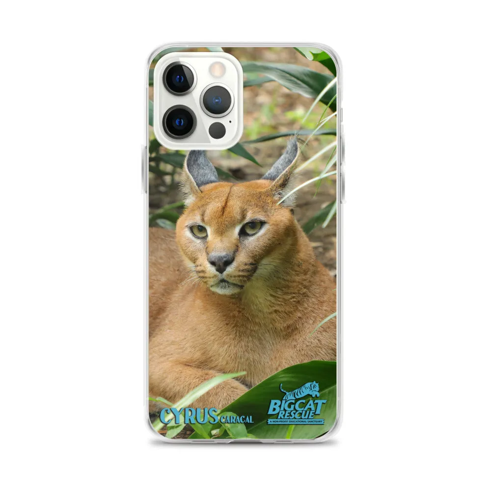 Phone Case - Cyrus Caracal iPhone