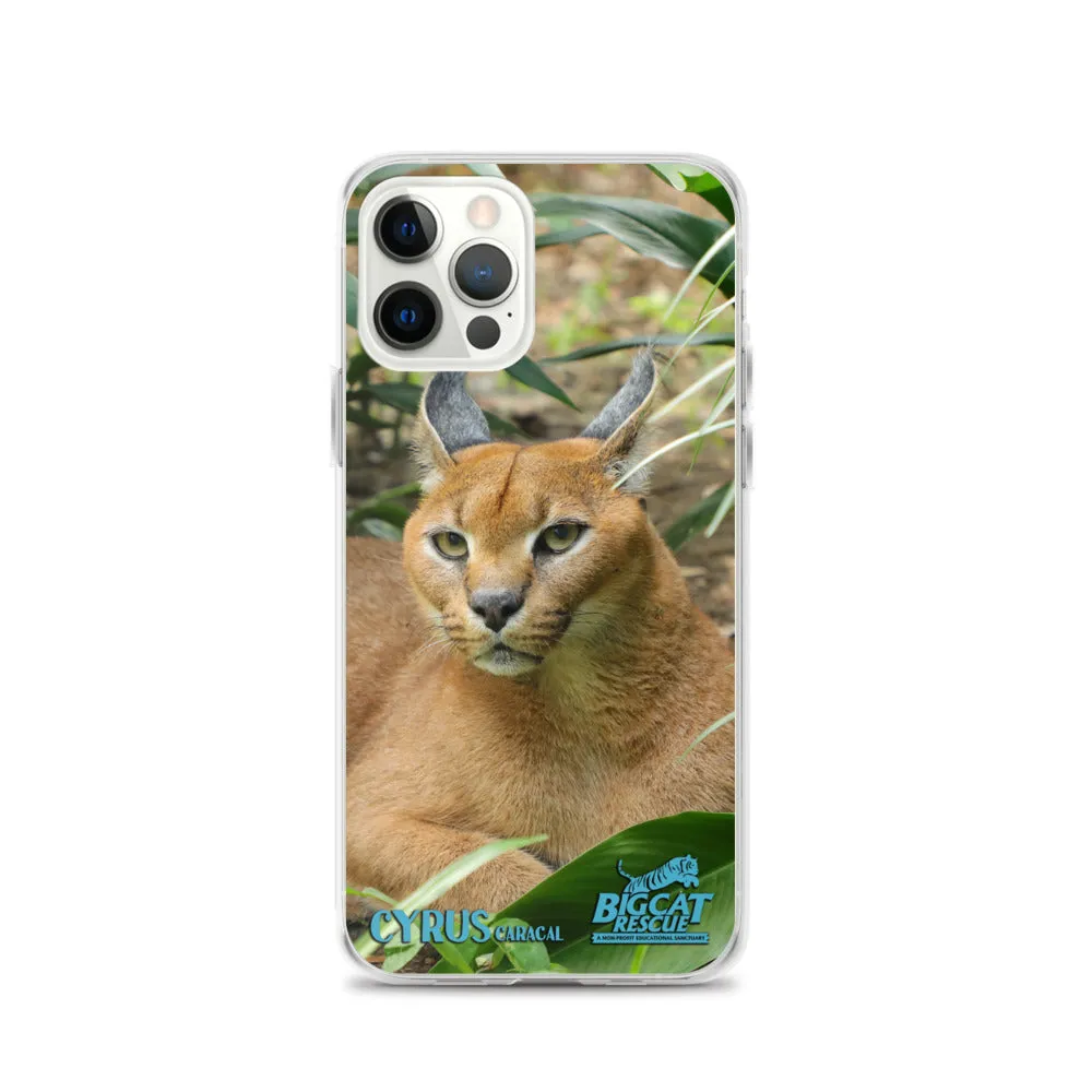 Phone Case - Cyrus Caracal iPhone