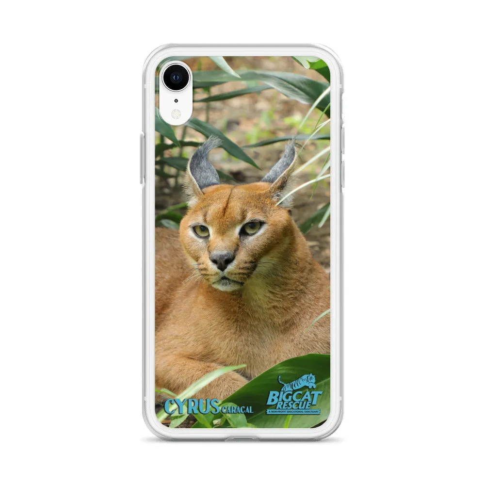 Phone Case - Cyrus Caracal iPhone