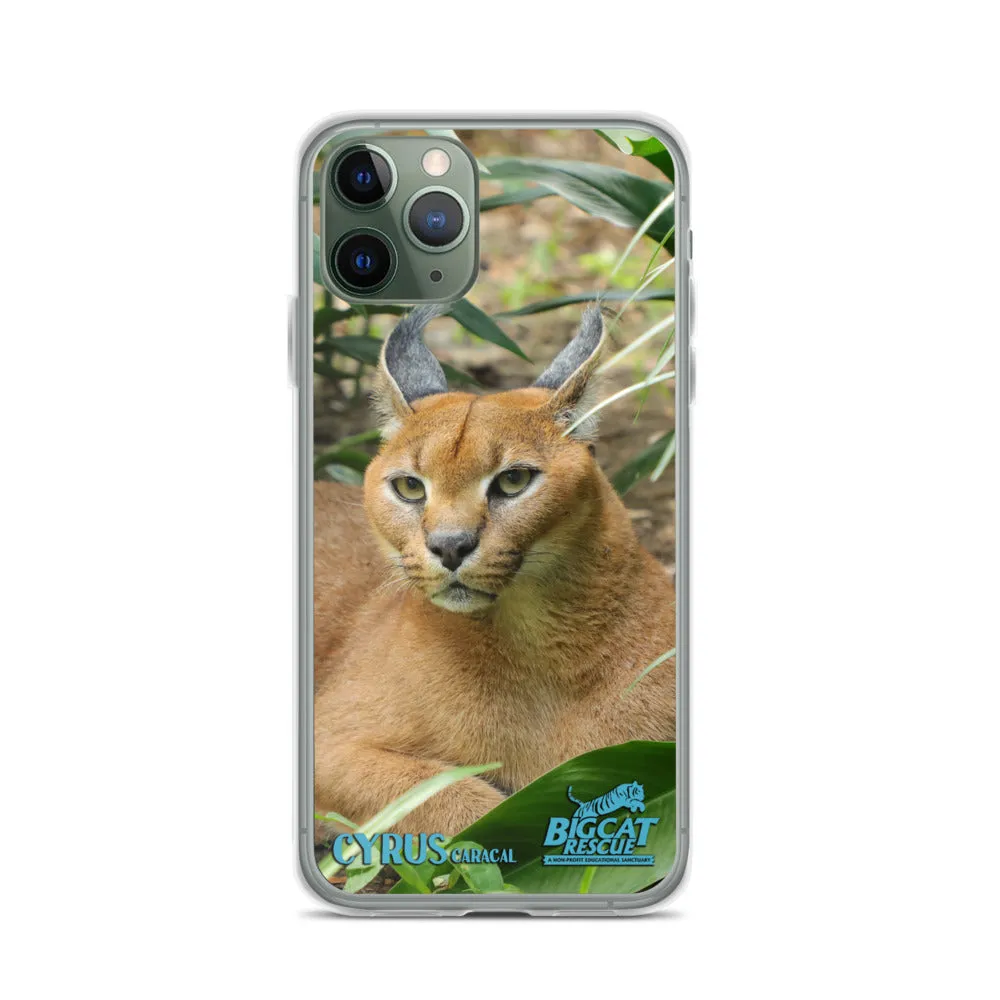 Phone Case - Cyrus Caracal iPhone