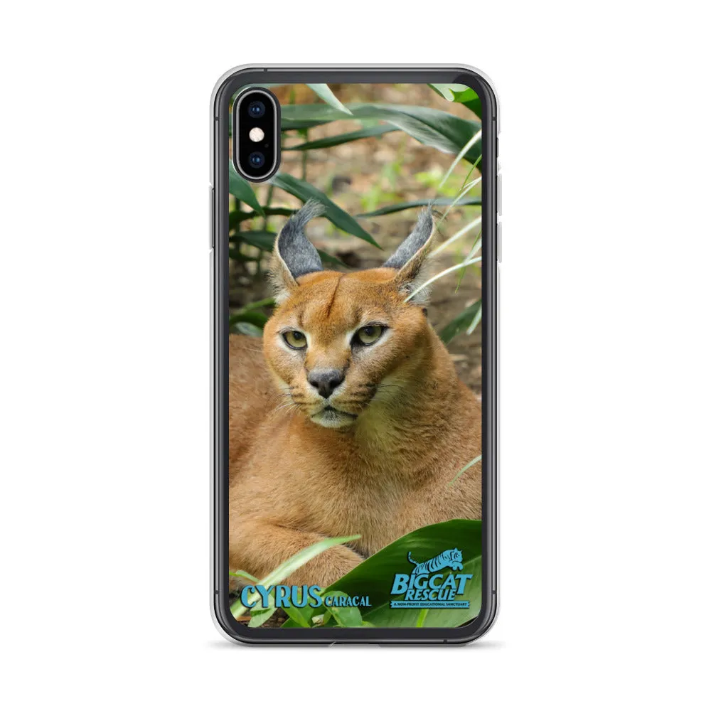 Phone Case - Cyrus Caracal iPhone