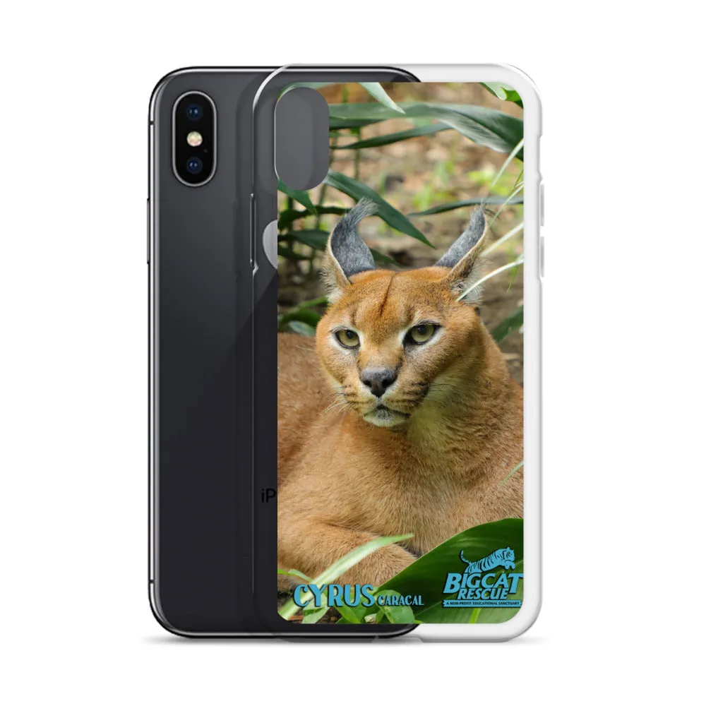 Phone Case - Cyrus Caracal iPhone