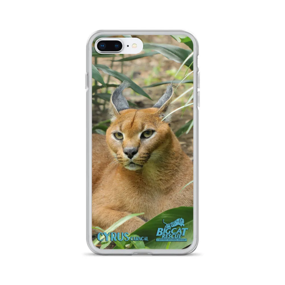 Phone Case - Cyrus Caracal iPhone