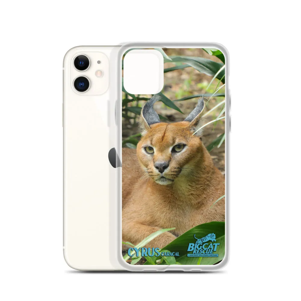 Phone Case - Cyrus Caracal iPhone