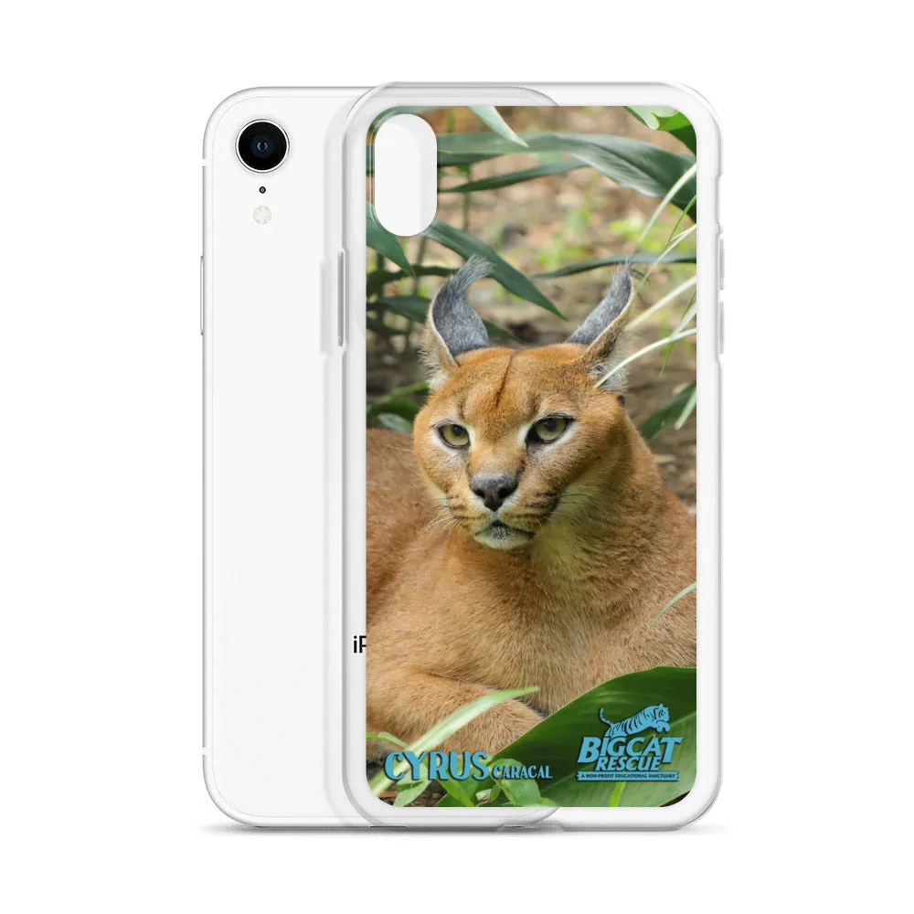 Phone Case - Cyrus Caracal iPhone