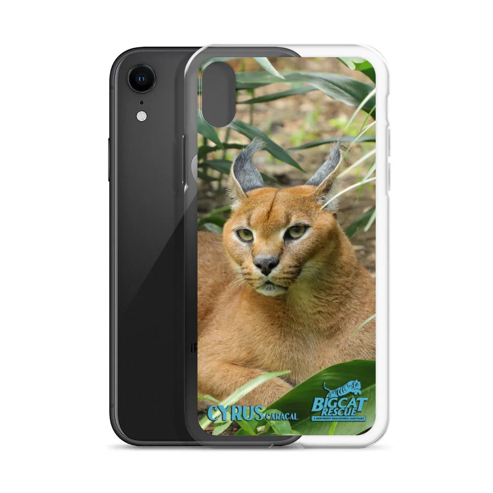 Phone Case - Cyrus Caracal iPhone