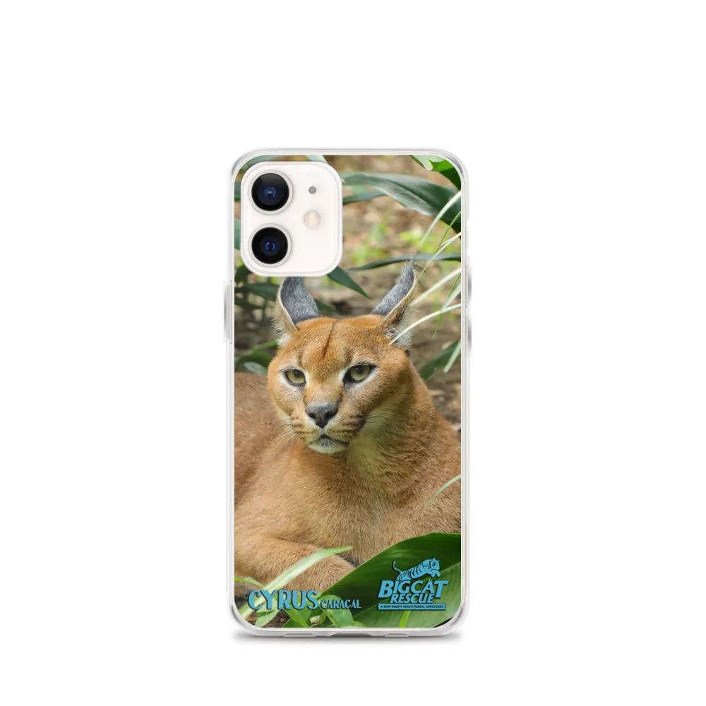 Phone Case - Cyrus Caracal iPhone