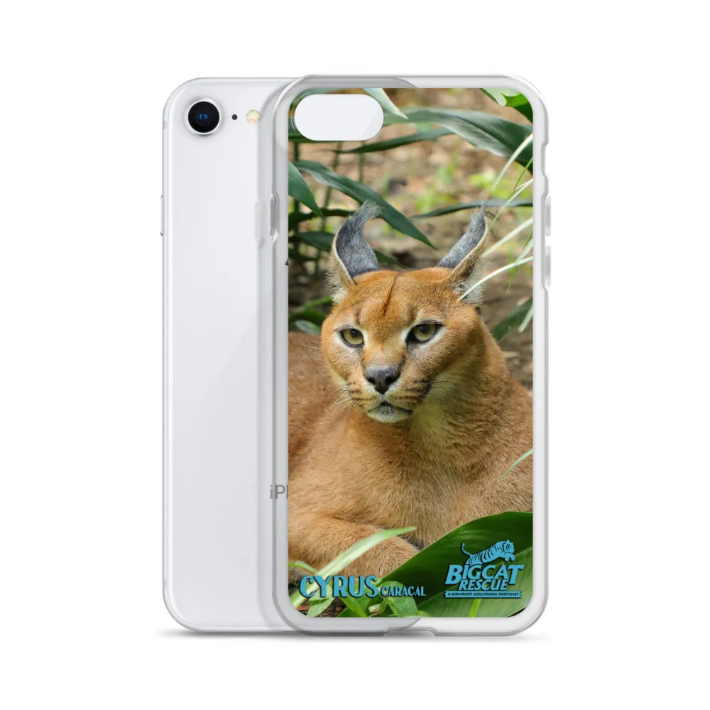 Phone Case - Cyrus Caracal iPhone