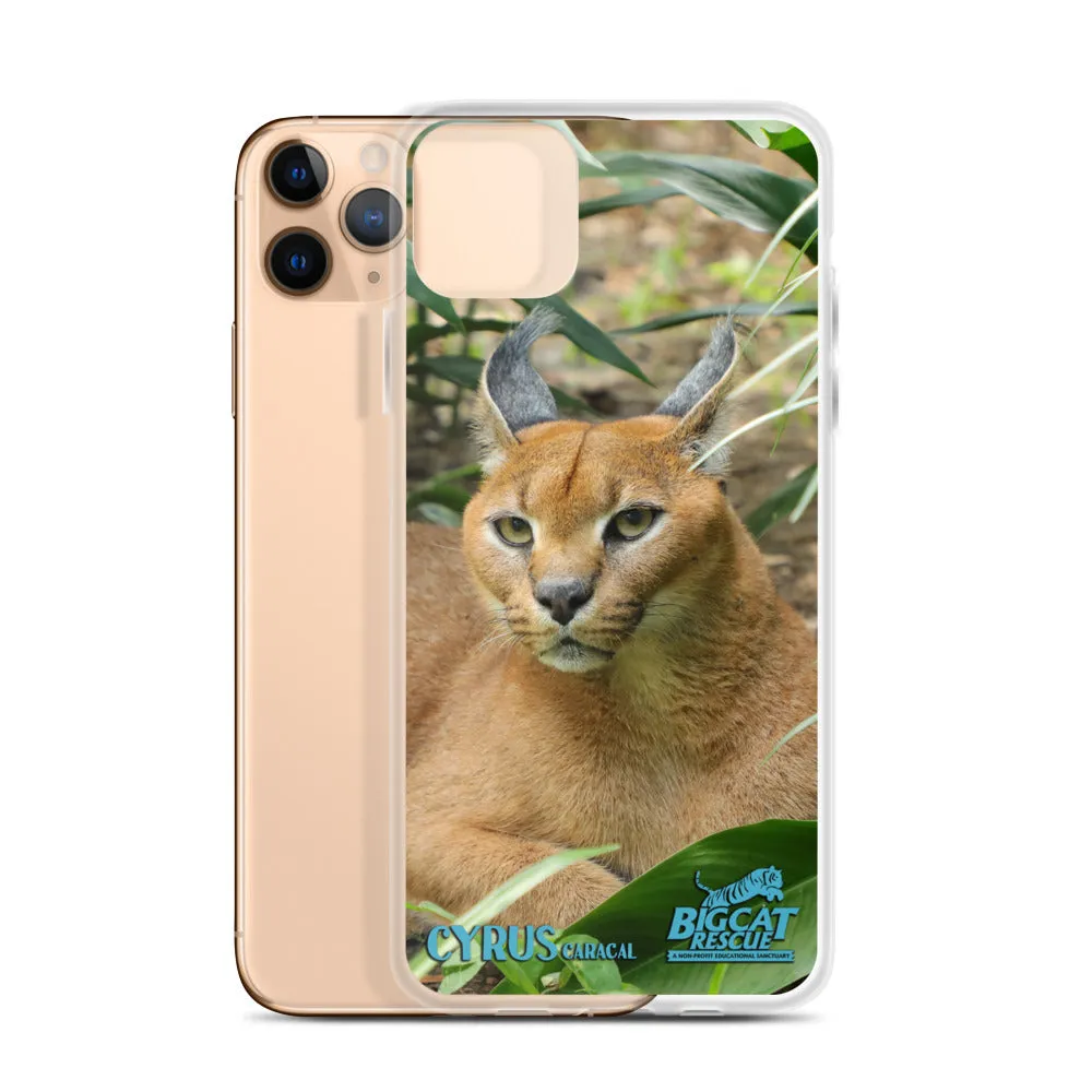 Phone Case - Cyrus Caracal iPhone