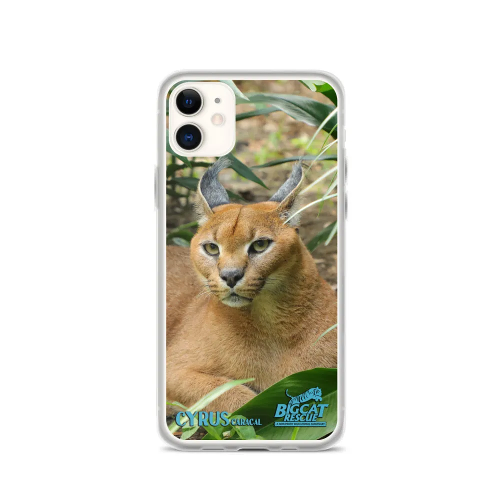 Phone Case - Cyrus Caracal iPhone