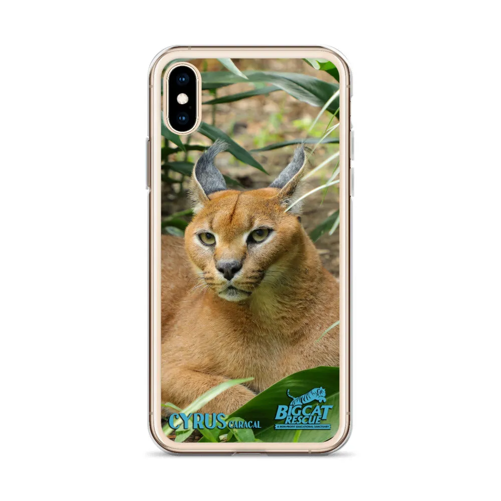 Phone Case - Cyrus Caracal iPhone