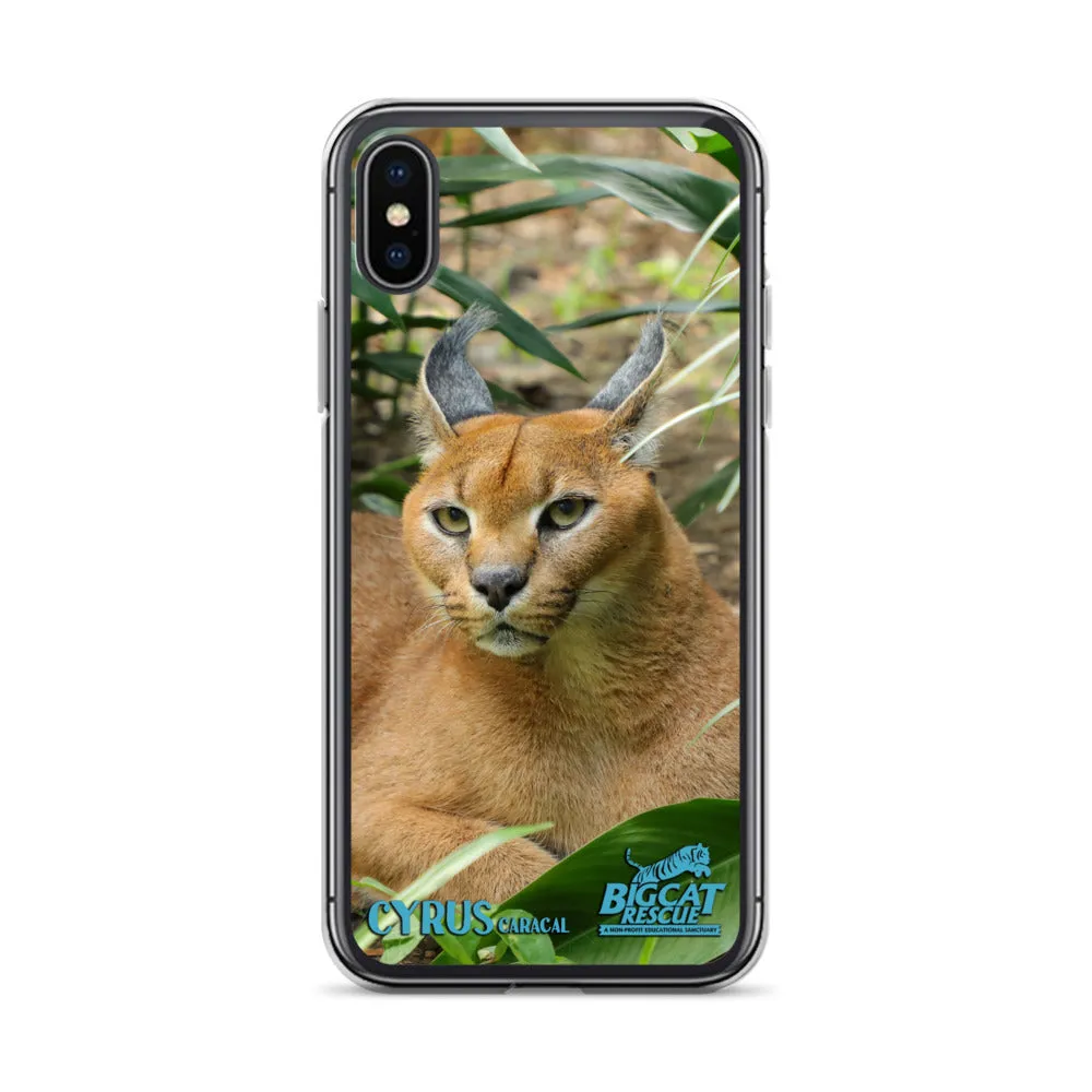 Phone Case - Cyrus Caracal iPhone