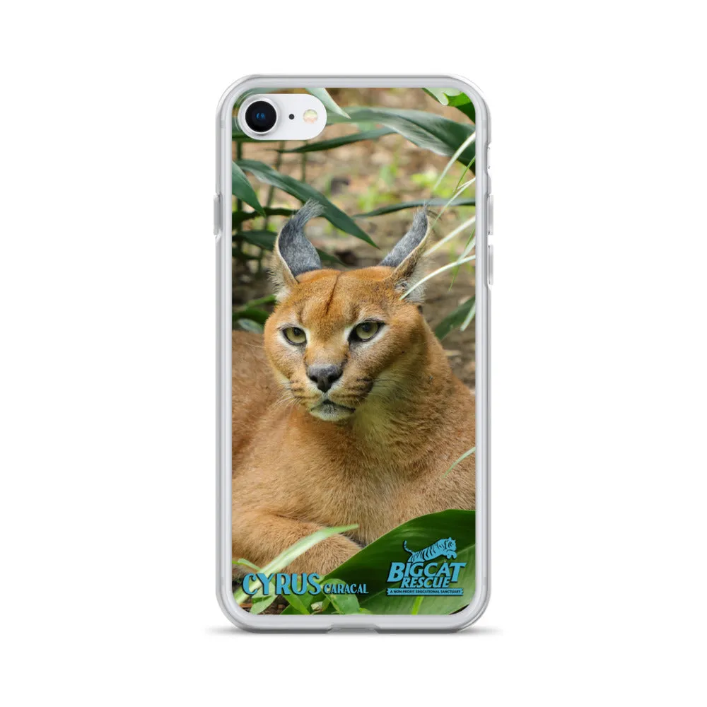 Phone Case - Cyrus Caracal iPhone