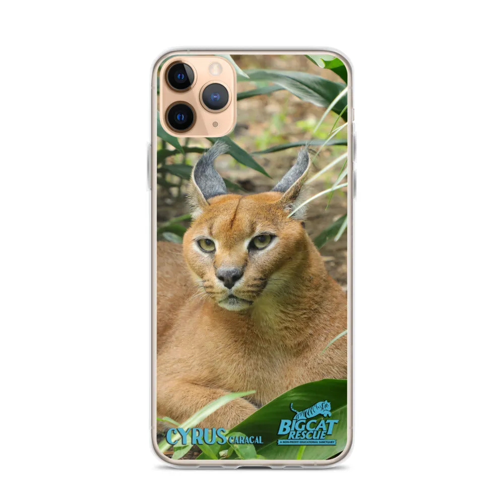 Phone Case - Cyrus Caracal iPhone