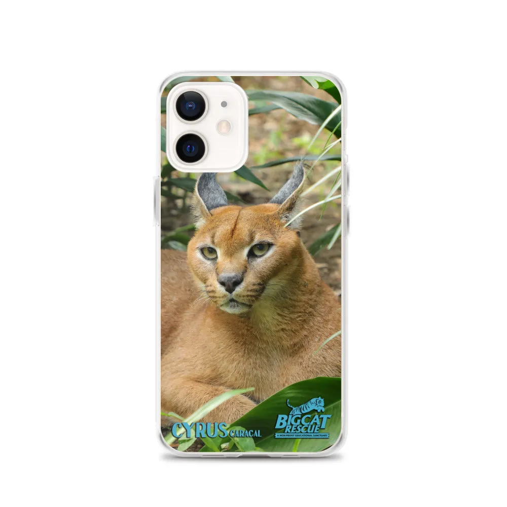 Phone Case - Cyrus Caracal iPhone