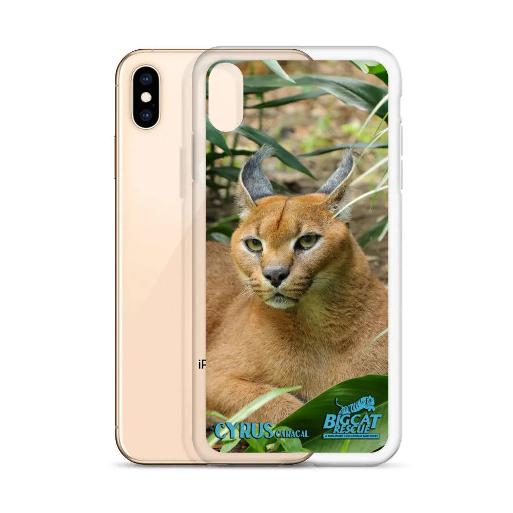 Phone Case - Cyrus Caracal iPhone