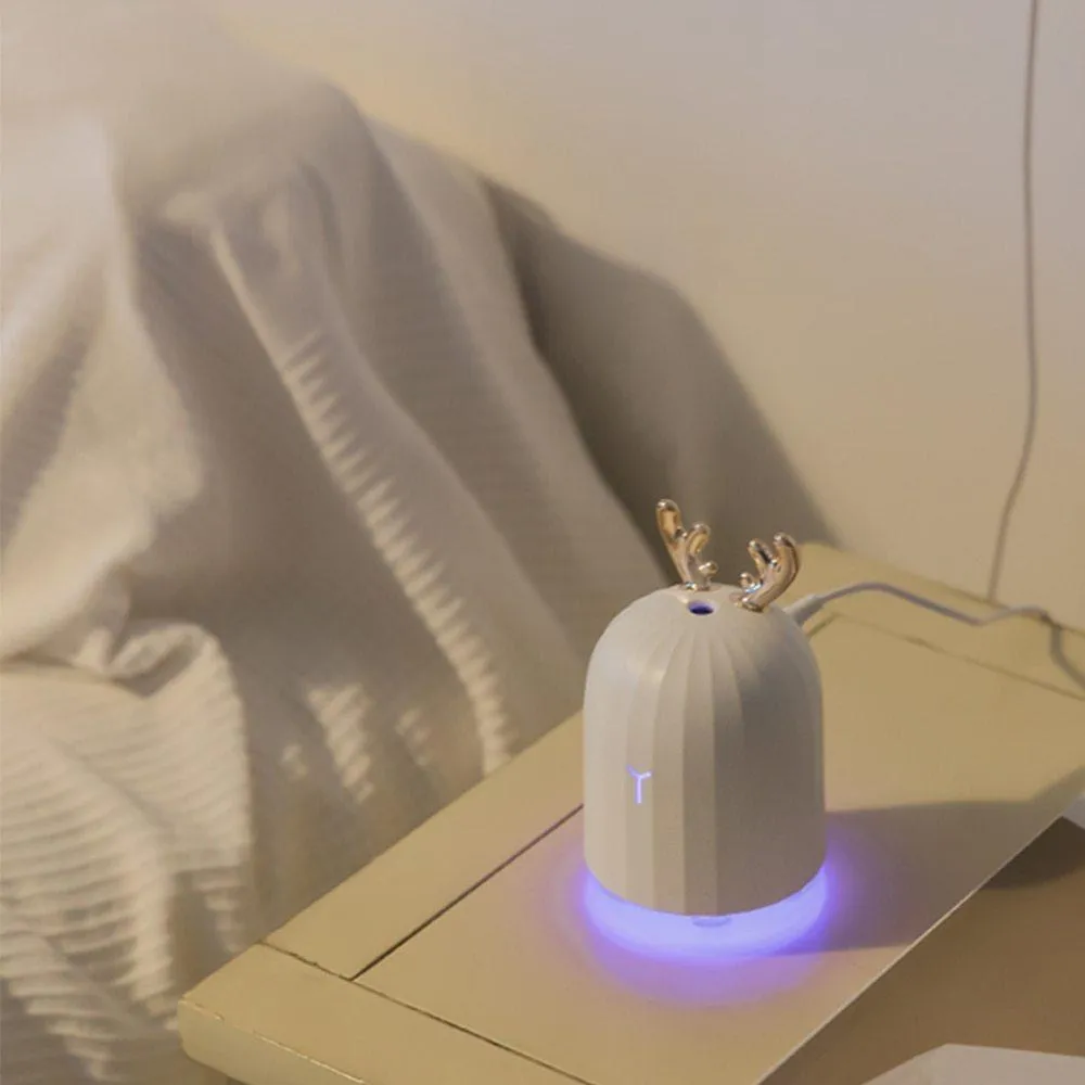 Portable USB Charging Mini Humidifier