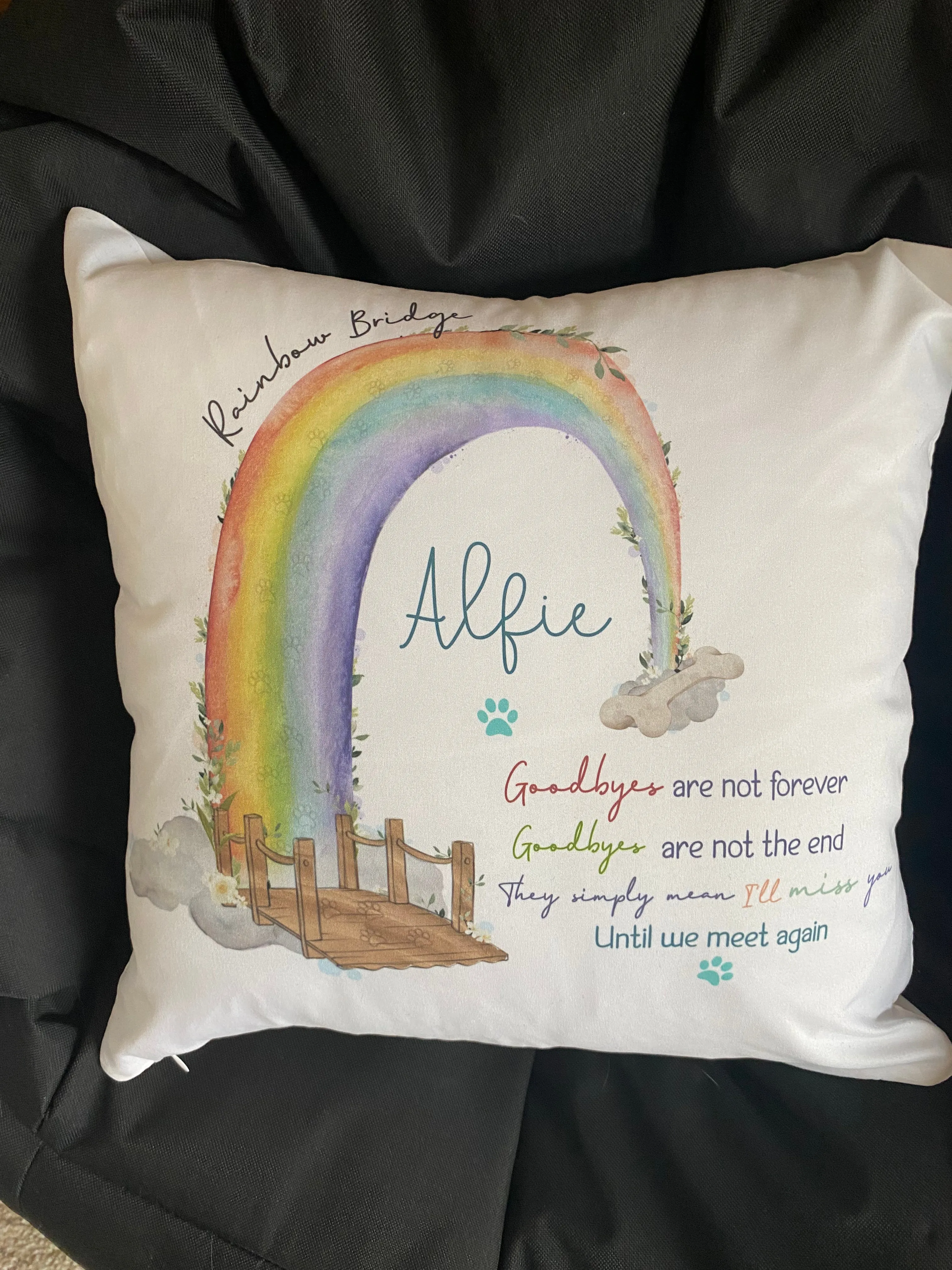 Rainbow Bridge Cushion