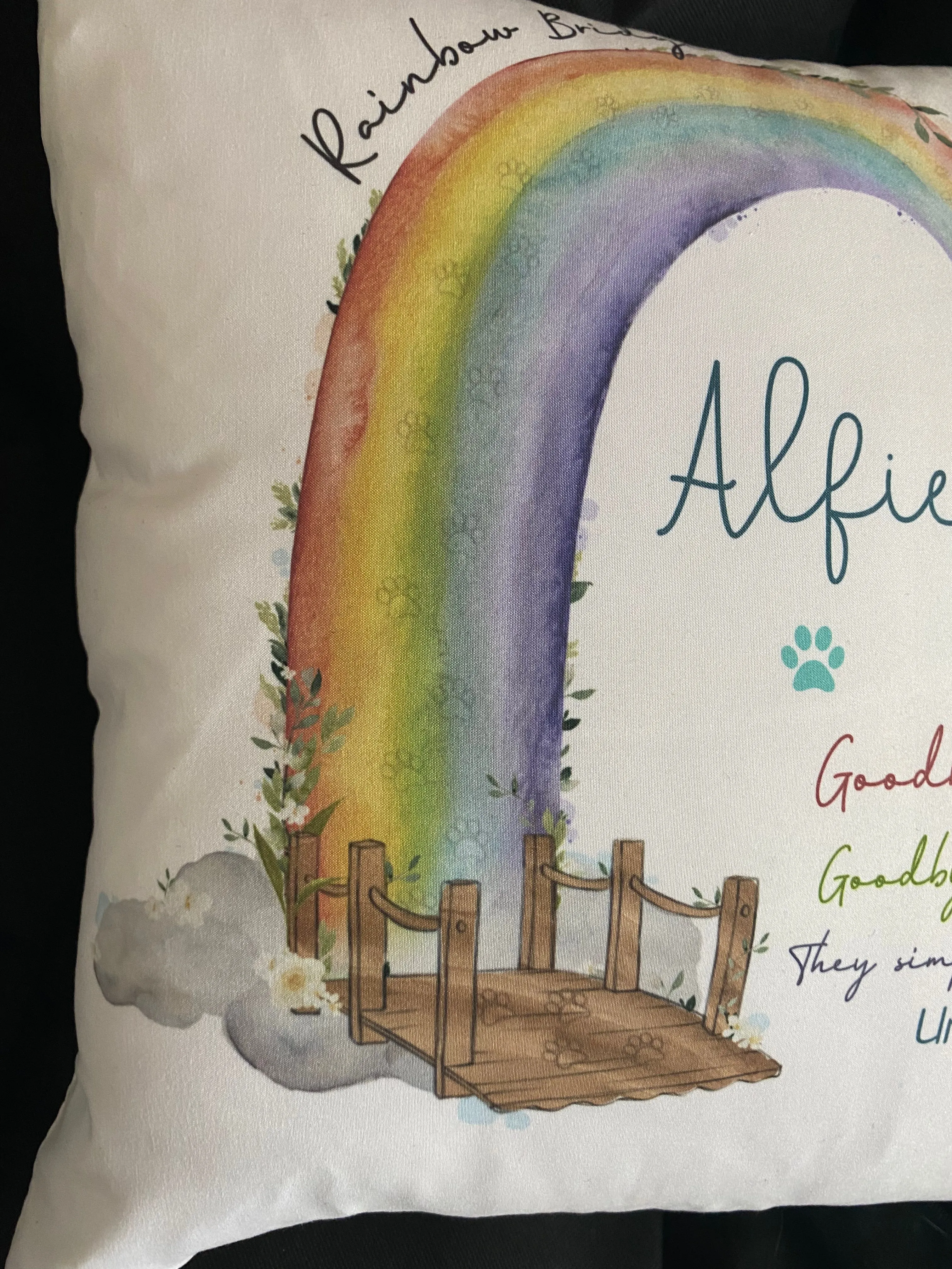 Rainbow Bridge Cushion